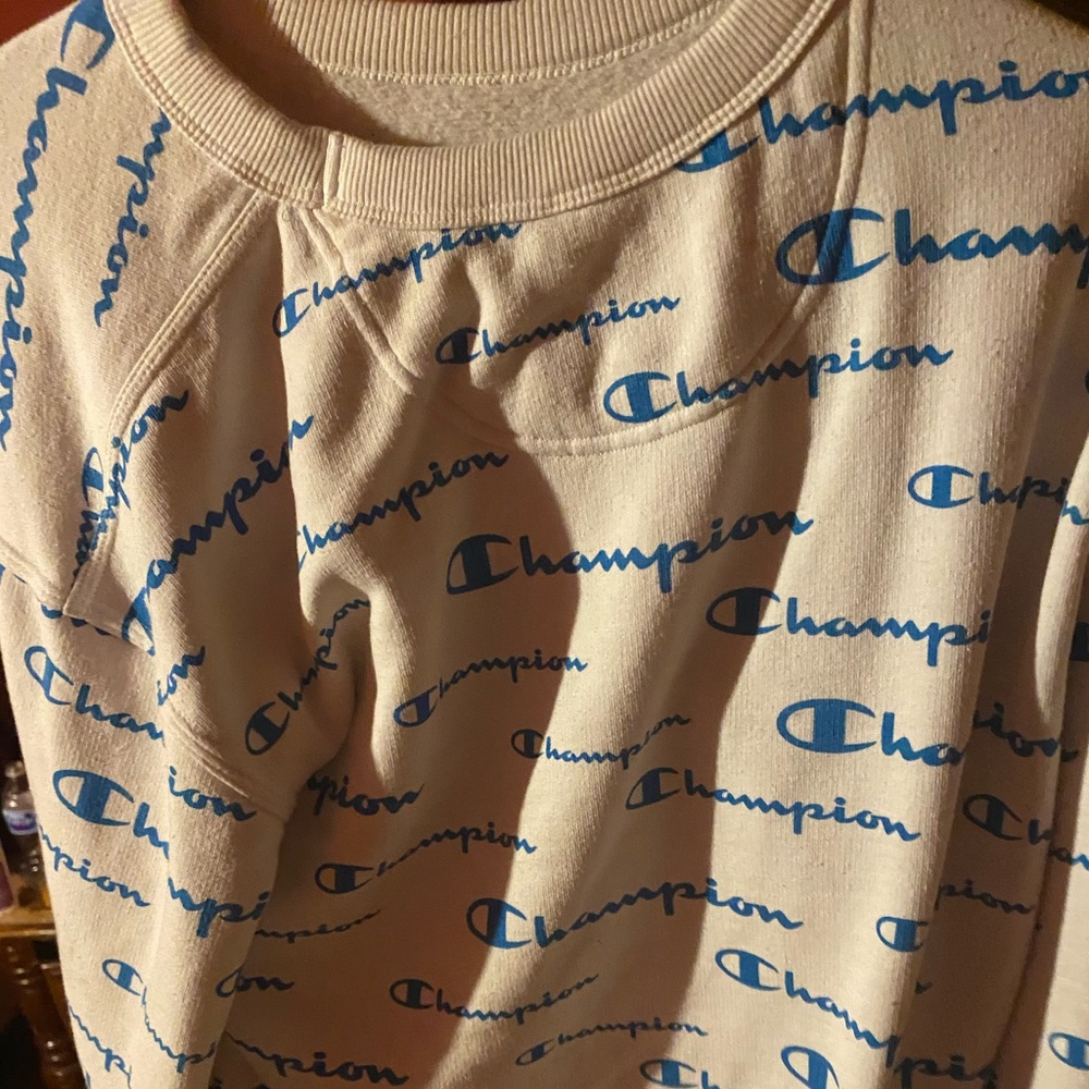 Champion sweater